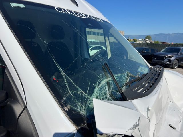 TOYOTA PROACE MAX 33 2.2 BLUEHDI 120CV - foto 8