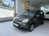 VENDO Auto a Somma Vesuviana – foto 1