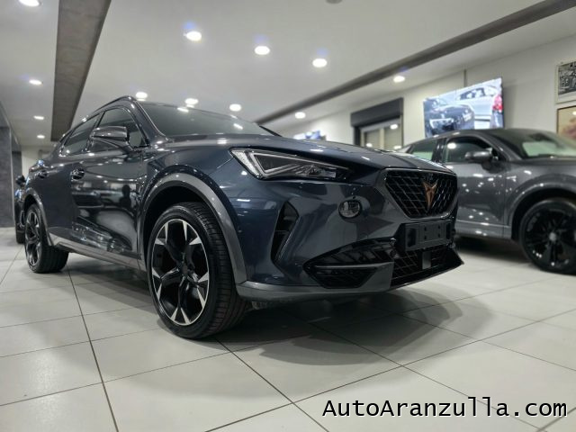 CUPRA FORMENTOR 2.0 TDI 150CV 4DRIVE DSG  NAVI - - foto 24