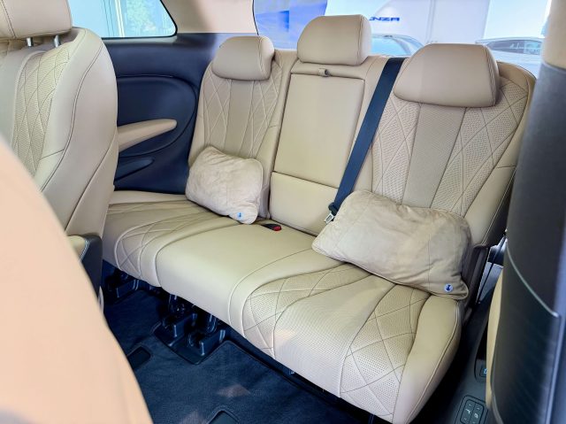 OTHERS-ANDERE OTHERS-ANDERE DENZA D9 ULTIMATE PHEV AWD - foto 12