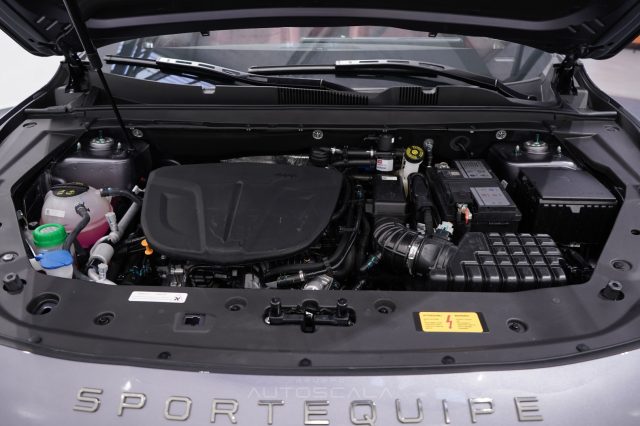 SPORTEQUIPE SPORTEQUIPE 7 GTW 1.6 T-GDI DCT - foto 28