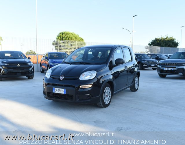 FIAT PANDA 1.0 FIREFLY 70CV S&S HYBRID - foto 2