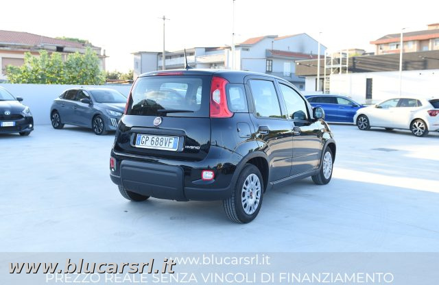 FIAT PANDA 1.0 FIREFLY 70CV S&S HYBRID - foto 3