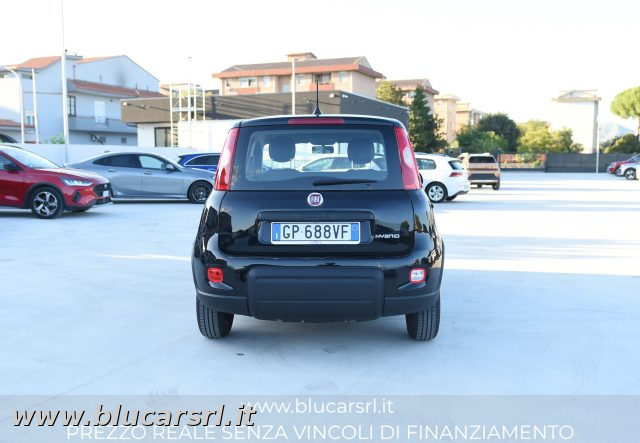FIAT PANDA 1.0 FIREFLY 70CV S&S HYBRID - foto 4