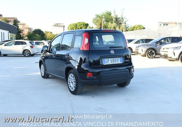 FIAT PANDA 1.0 FIREFLY 70CV S&S HYBRID - foto 5