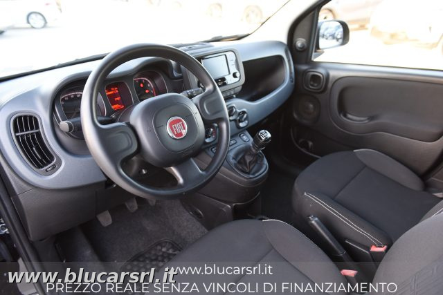 FIAT PANDA 1.0 FIREFLY 70CV S&S HYBRID - foto 6
