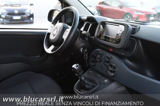 FIAT PANDA 1.0 FIREFLY 70CV S&S HYBRID - foto 8