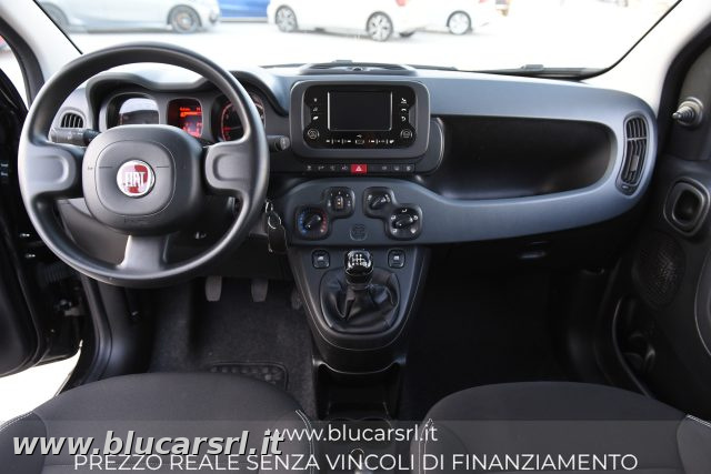 FIAT PANDA 1.0 FIREFLY 70CV S&S HYBRID - foto 10