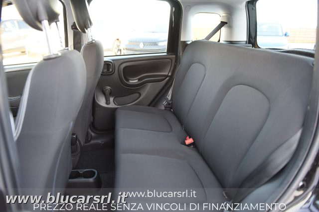 FIAT PANDA 1.0 FIREFLY 70CV S&S HYBRID - foto 12
