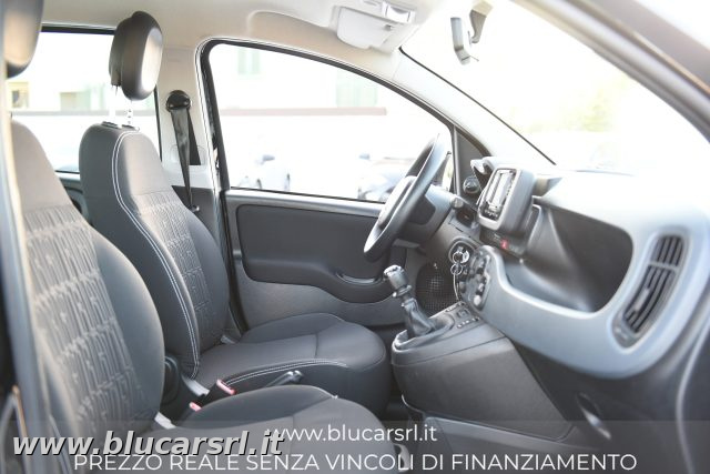 FIAT PANDA 1.0 FIREFLY 70CV S&S HYBRID - foto 13