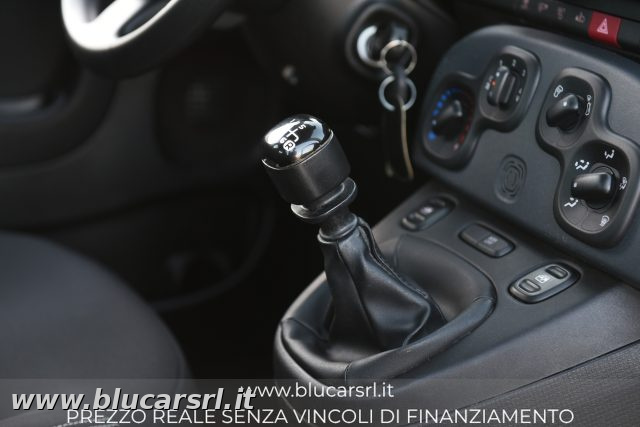 FIAT PANDA 1.0 FIREFLY 70CV S&S HYBRID - foto 19