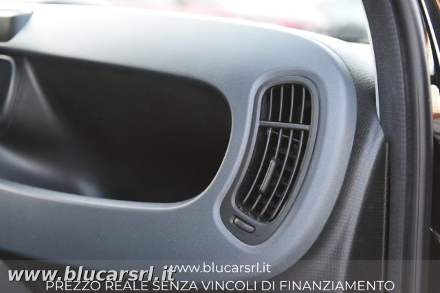FIAT PANDA 1.0 FIREFLY 70CV S&S HYBRID - foto 20