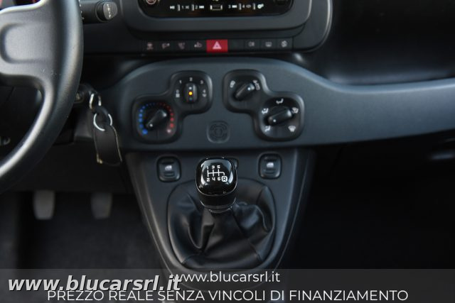 FIAT PANDA 1.0 FIREFLY 70CV S&S HYBRID - foto 23