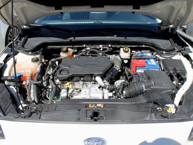 FORD FOCUS ACTIVE 1.5ECOBLU 120CV NAVI CAM  - foto 30