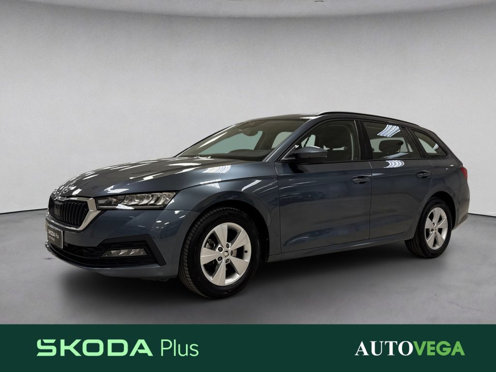 Immagine veicolo SKODA Octavia wagon 2.0 tdi evo executive 115cv Diesel