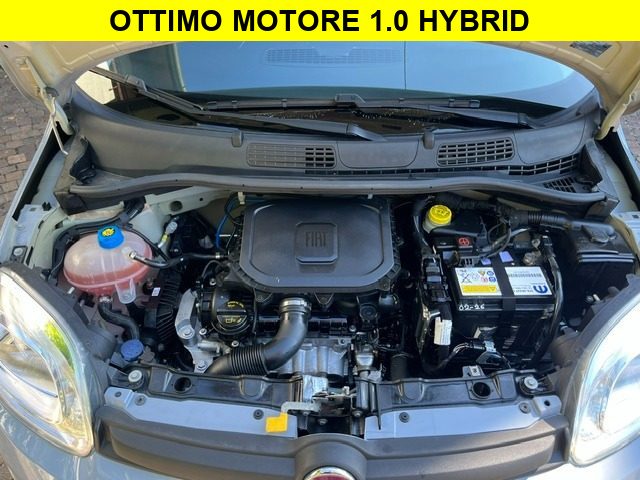 FIAT PANDA 1.0 FIREFLY S&S HYBRID - foto 13