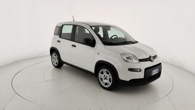 FIAT PANDA 1.0 FIREFLY S&S HYBRID - foto 23