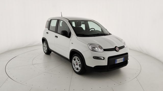 FIAT PANDA 1.0 FIREFLY S&S HYBRID - foto 24