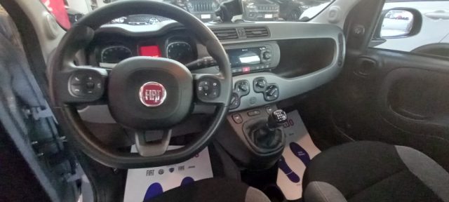 FIAT PANDA 1.0 FIREFLY S&S HYBRID - foto 7