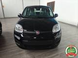 VENDO Auto a San Nicola Manfredi – foto 1