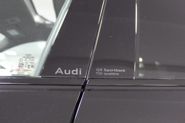AUDI Q5 SPB 2.0 TDI QUATTRO S-TRONIC S-L - foto 10