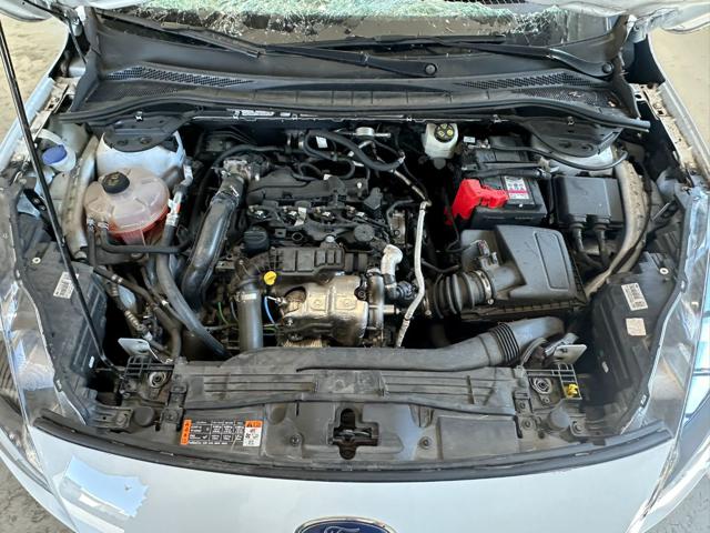 FORD KUGA 1.5 ECOBLUE 120CV 2WD CONNECT - foto 12