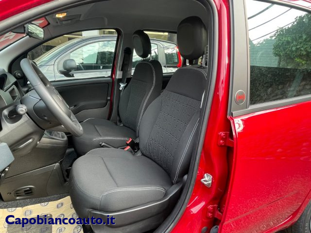 FIAT PANDA 1.0 FIREFLY S&S HYBRID POP KM0 P - foto 8