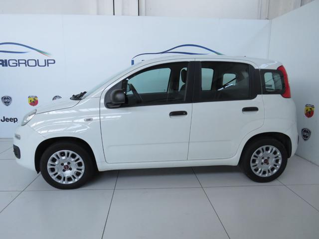 FIAT PANDA 1.2 EASYPOWER EASY - foto 3