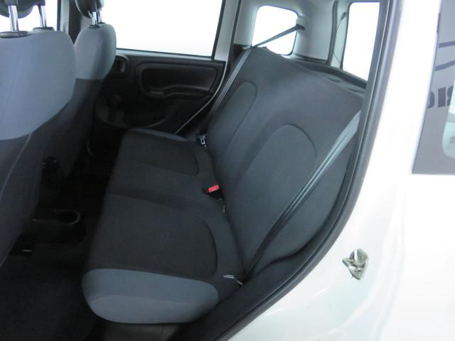 FIAT PANDA 1.2 EASYPOWER EASY - foto 11