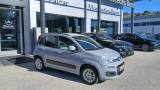 VENDO Auto a Potenza – foto 1