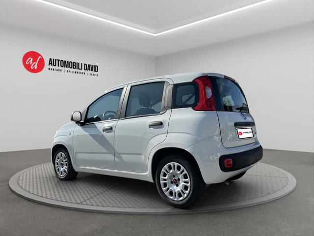 FIAT PANDA 1.0 FIREFLY S&S HYBRID - foto 3