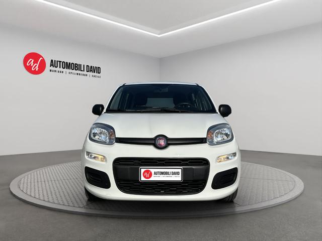 FIAT PANDA 1.0 FIREFLY S&S HYBRID - foto 5
