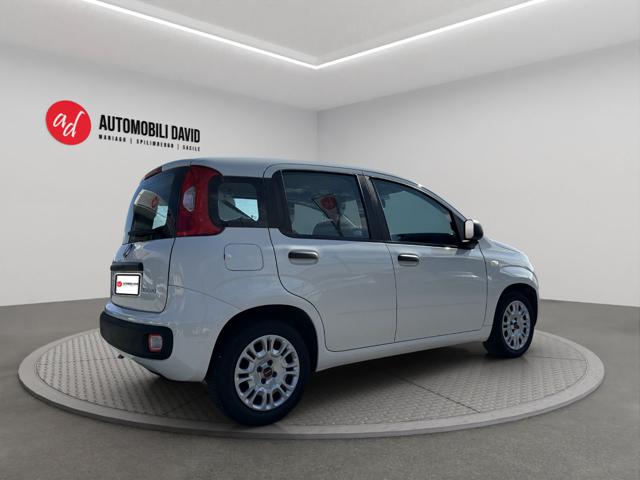 FIAT PANDA 1.0 FIREFLY S&S HYBRID - foto 4