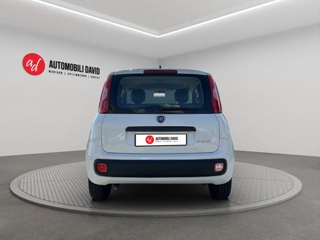 FIAT PANDA 1.0 FIREFLY S&S HYBRID - foto 6
