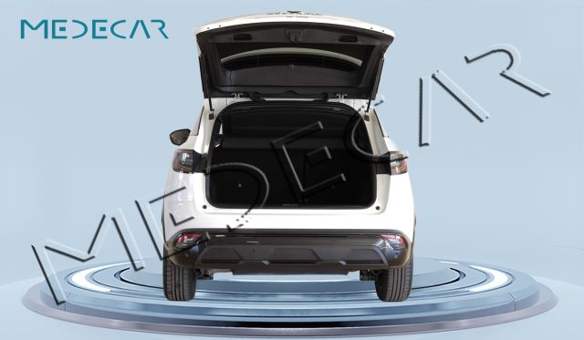 RENAULT AUSTRAL AUSTRAL FULL HYBRID E-TECH 200 C - foto 6