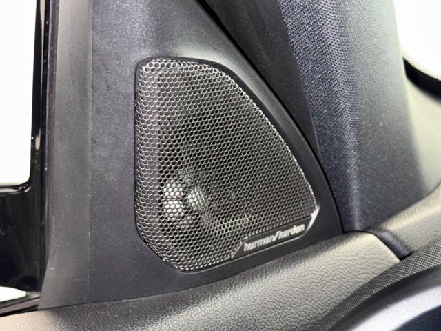 BMW M135 I XDRIVE - HARMAN KARDON - foto 28
