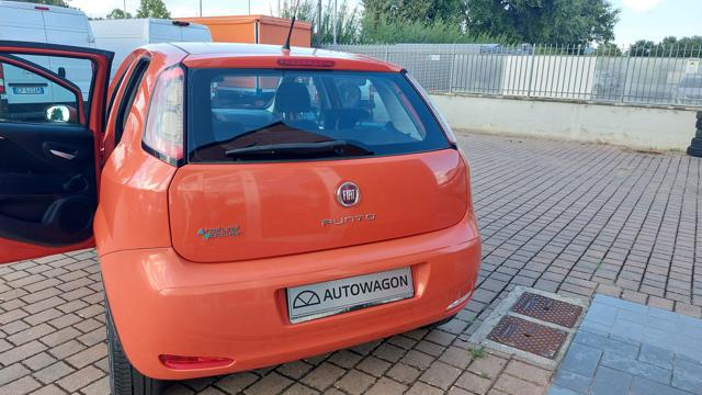 FIAT PUNTO 1.4 8V  5 PORTE NATURAL POWER YO - foto 18