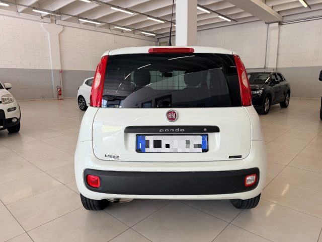 FIAT PANDA 1.3 MJT VAN 2 POSTI - foto 6