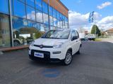 VENDO Auto a Castelfranco di Sotto – foto 1