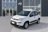 VENDO Auto a San Miniato – foto 1