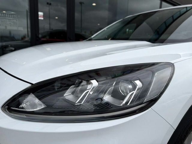 FORD KUGA 2.0 ECOBLUE HYBRID 150 CV 2WD TI - foto 18