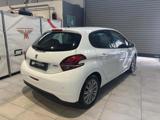 VENDO Auto a Vitulazio – foto 1
