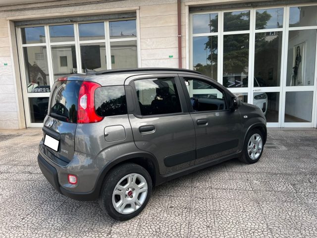 FIAT PANDA 1.0 FIREFLY S&S HYBRID - foto 23