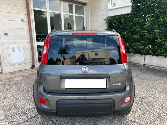 FIAT PANDA 1.0 FIREFLY S&S HYBRID - foto 7