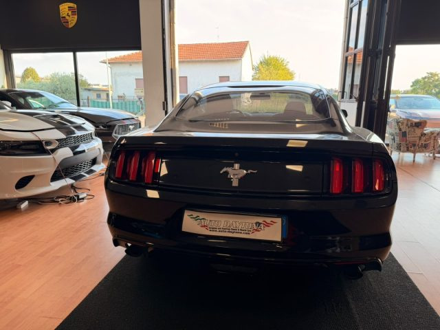 FORD MUSTANG FASTBACK 3.7 V6 AUTOMATICA - foto 8
