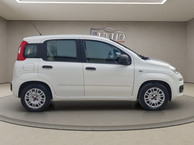 FIAT PANDA 1.2 EASY - foto 6