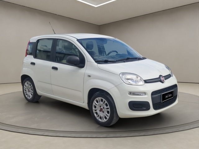 FIAT PANDA 1.2 EASY - foto 7