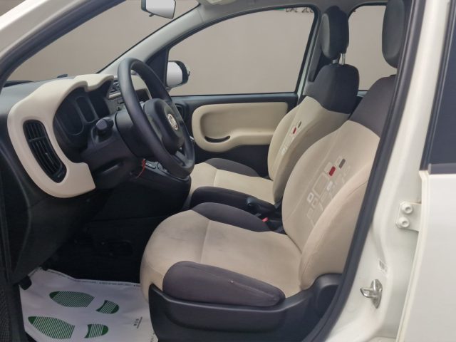 FIAT PANDA 1.2 EASY - foto 9