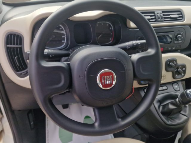 FIAT PANDA 1.2 EASY - foto 10