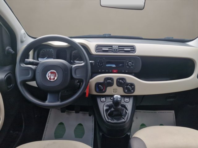FIAT PANDA 1.2 EASY - foto 14